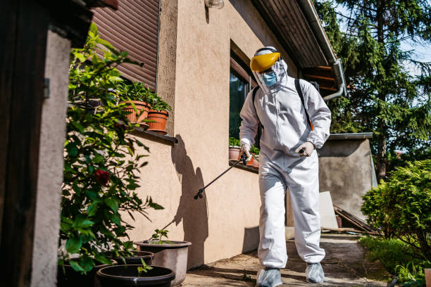 Flea Control Services in Bermuda Dunes, CA