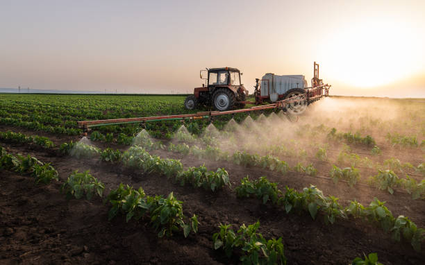 Best Mosquito Control Services  in Bermuda Dunes, CA