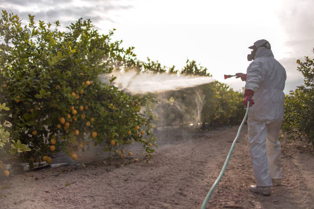 Bermuda Dunes, CA Pest Control Company