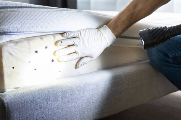 Best Pest Control Near Me  in Bermuda Dunes, CA
