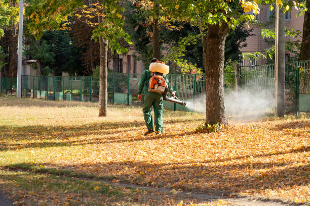 Best Commercial Pest Control Services  in Bermuda Dunes, CA