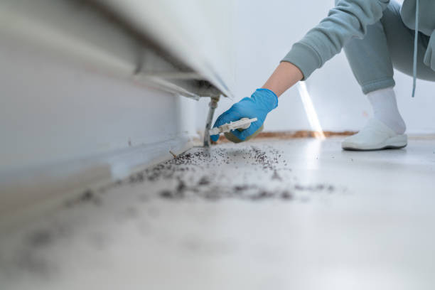 Best Pest Prevention Services  in Bermuda Dunes, CA